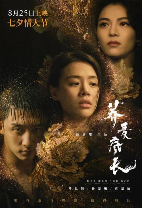 柏林百斯特-萨尔贝高等专业学院理工科文凭证书